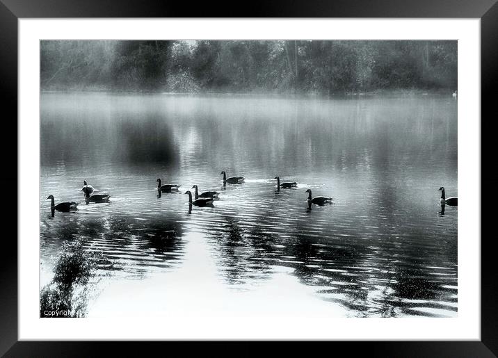 The Silver Pond...monochrome Framed Mounted Print by Elaine Manley