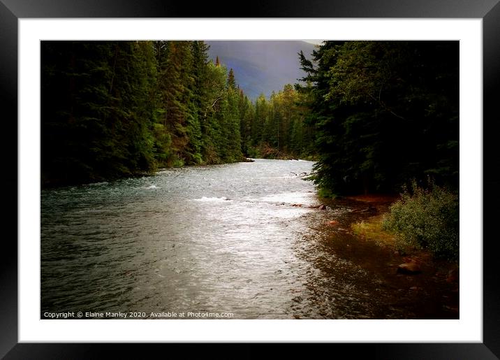 Deep Forest River Framed Mounted Print by Elaine Manley