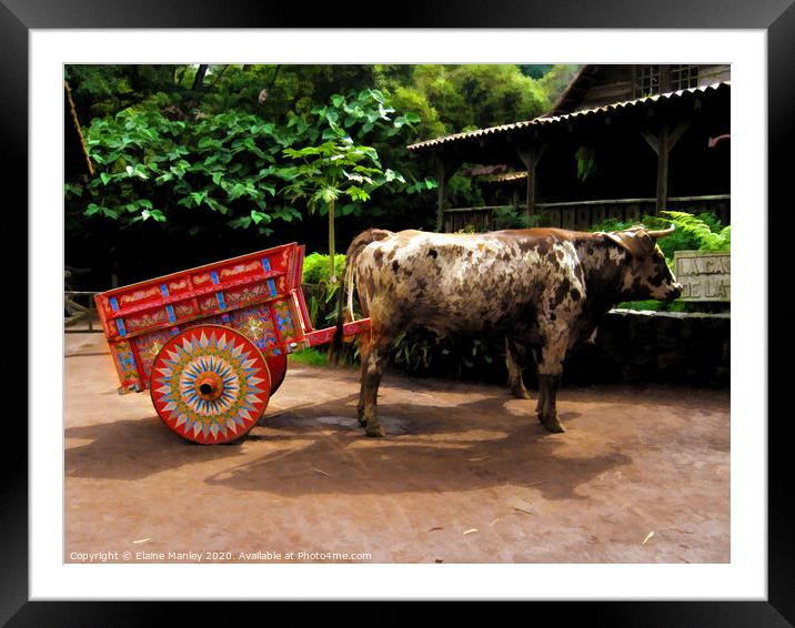 The Cow and Cart Framed Mounted Print by Elaine Manley