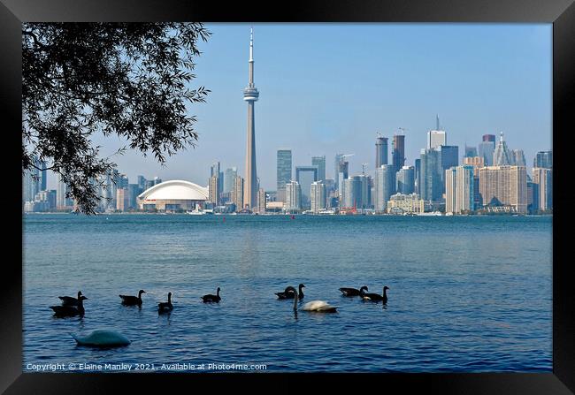 Toronto Canada on a Hot and Humid Day Framed Print by Elaine Manley