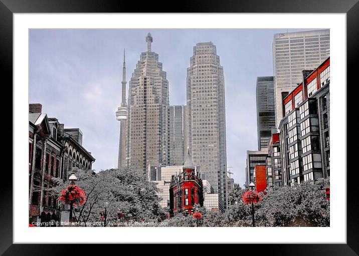 Downtown Toronto  Framed Mounted Print by Elaine Manley