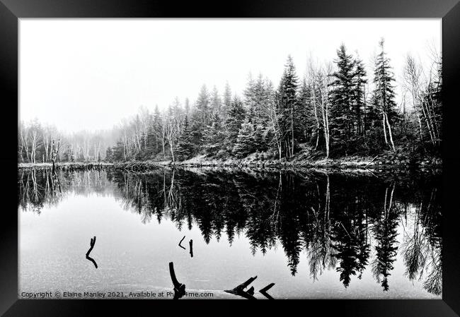Beaver Pond in Winter Framed Print by Elaine Manley