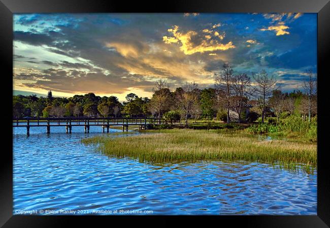 Bridge Over the Alligator Pond in Florida  US Framed Print by Elaine Manley