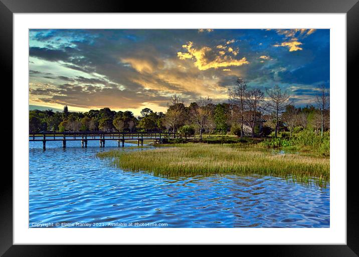 Bridge Over the Alligator Pond in Florida  US Framed Mounted Print by Elaine Manley