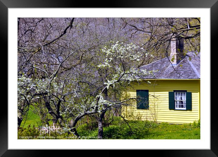 Yellow House in Spring  Framed Mounted Print by Elaine Manley