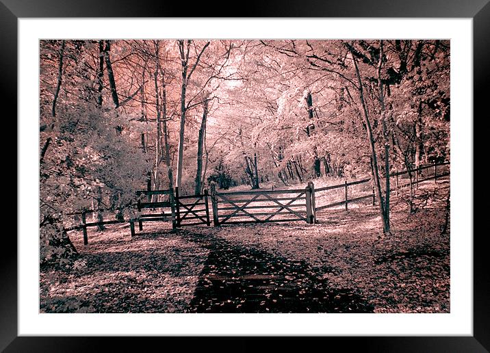 Infra Red Bentley Wood Framed Mounted Print by Jayesh Gudka