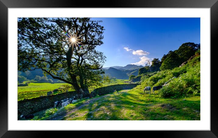 At the end of the day, Easedale, Grasmere, The Lake District Framed Mounted Print by Greg Marshall