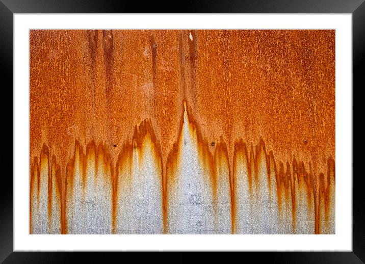 Rusty curtains Framed Mounted Print by Greg Marshall
