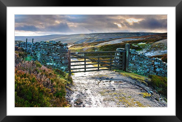 Yorkshire Dales Gate Upper Swaledale Framed Mounted Print by Greg Marshall