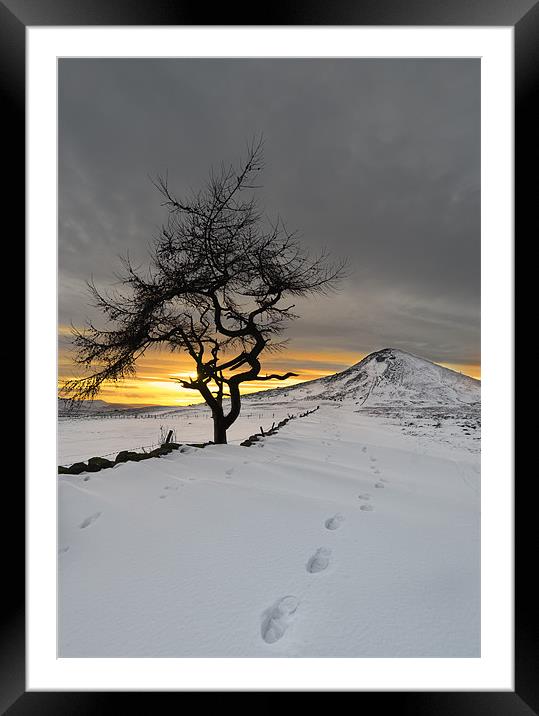  Roseberry Topping, Winter Sunset, Teesside Framed Mounted Print by Greg Marshall