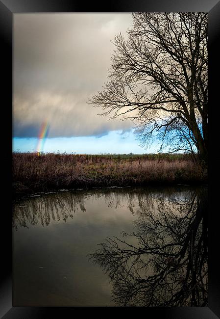 Rainbow Sleepy Hollow Tree Framed Print by Greg Marshall