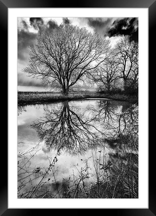 Sleepy Hollow Silver Tree Reflection Framed Mounted Print by Greg Marshall
