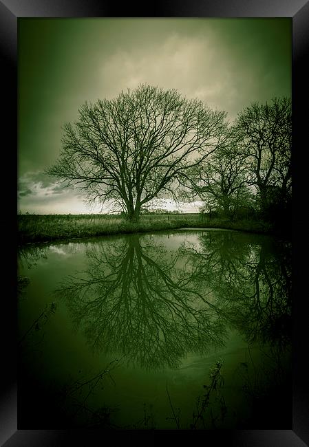 Sleepy Hollow Green Tree Reflection Framed Print by Greg Marshall