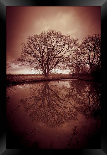 Sleepy Hollow Red Tree Reflection Framed Print by Greg Marshall