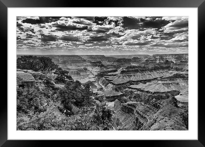 The Grand Canyon and Colorado River  Framed Mounted Print by Greg Marshall
