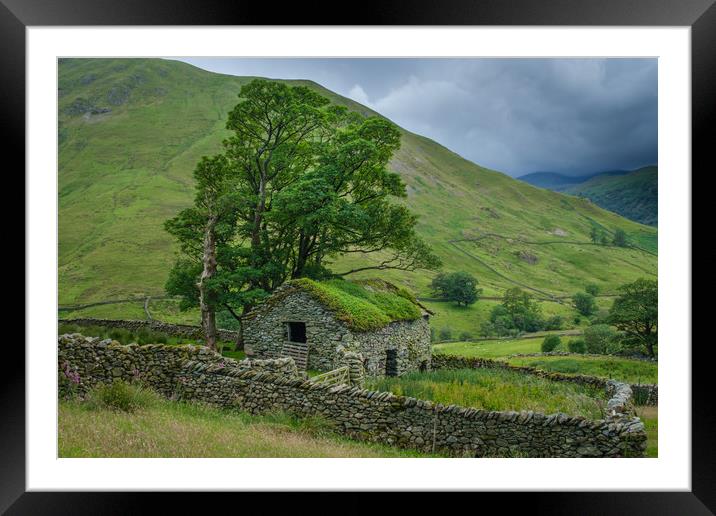 Lone Barn with trees Hartsop Lake District Framed Mounted Print by Greg Marshall