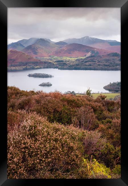 View of Cat Bells, Robinson, Dale Head and other W Framed Print by Greg Marshall