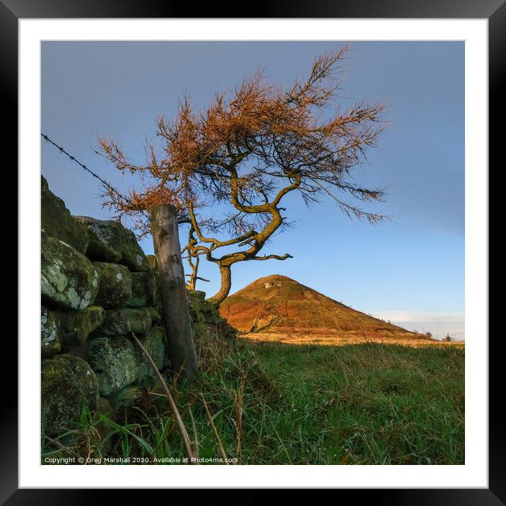Roseberry Topping Tree Framed Mounted Print by Greg Marshall