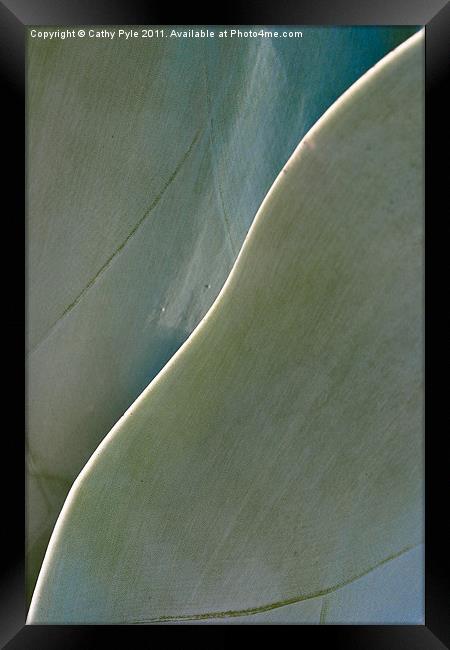 Cactus leaves Framed Print by Cathy Pyle