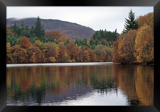 Autumn in Pitlochry Framed Print by Phil Wareham