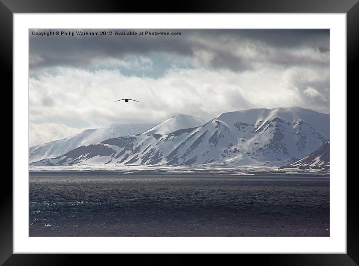 Flying in the Arctic Framed Mounted Print by Phil Wareham