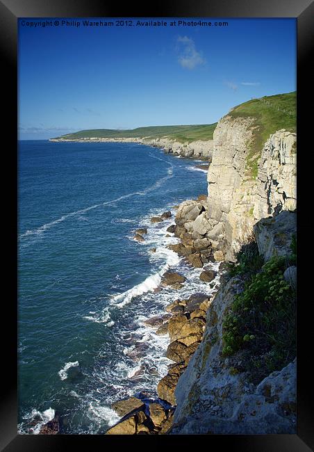 Clifftop Perch Framed Print by Phil Wareham