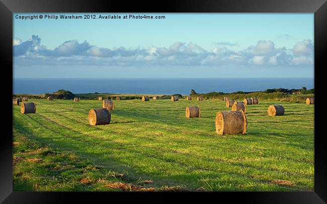 Hayfield Framed Print by Phil Wareham