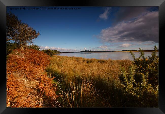 Poole Harbour Framed Print by Phil Wareham