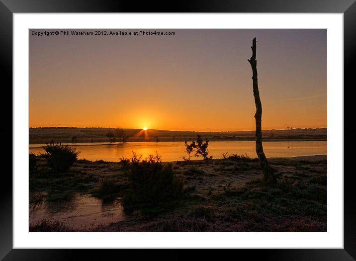 New Forest Sunrise Framed Mounted Print by Phil Wareham