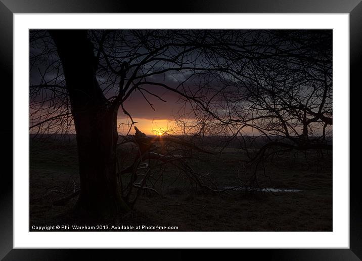 Badbury Rings Sunrise Framed Mounted Print by Phil Wareham