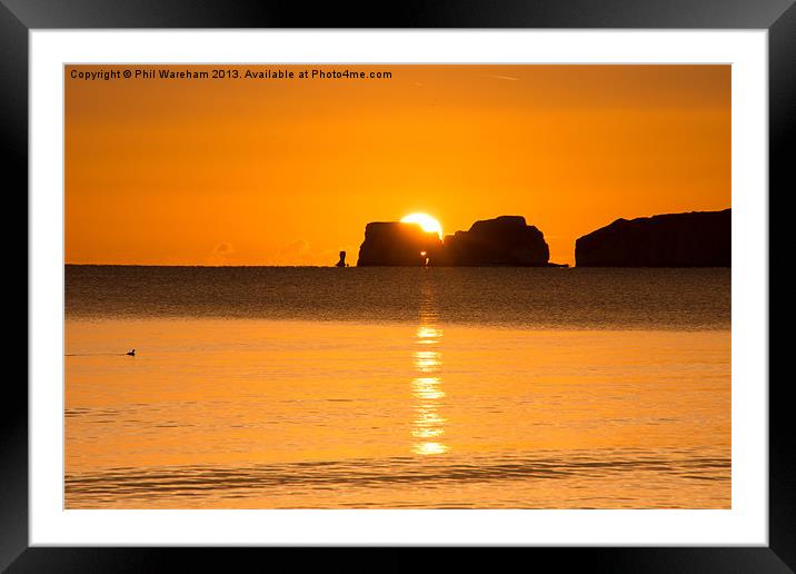 Sunrise over Old Harry Framed Mounted Print by Phil Wareham