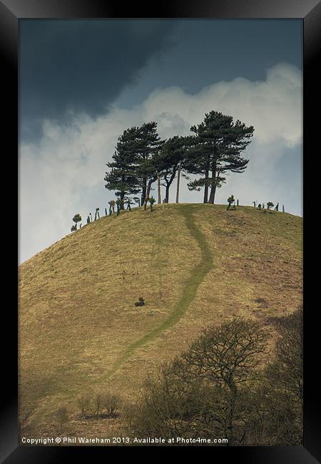 Trees on a hilltop Framed Print by Phil Wareham