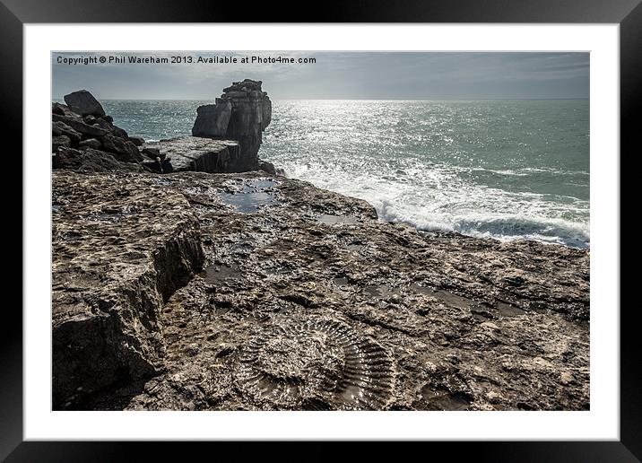 Fossil and Pulpit Rock Framed Mounted Print by Phil Wareham