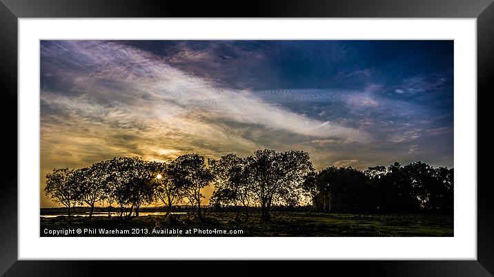 New Forest Nightfall Framed Mounted Print by Phil Wareham