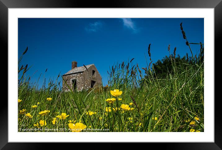 Buttercups and Ruin Framed Mounted Print by Phil Wareham