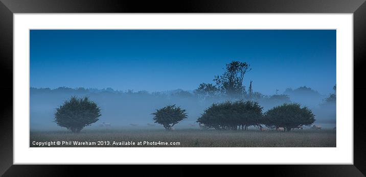 Morning Mist Framed Mounted Print by Phil Wareham