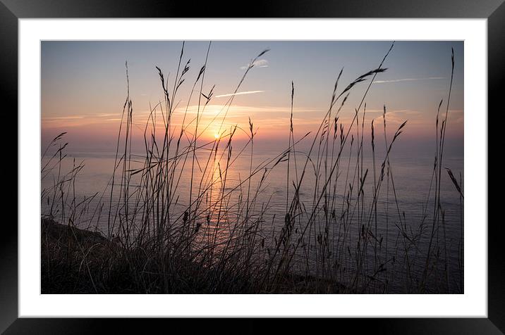 Clifftop Grasses Framed Mounted Print by Phil Wareham