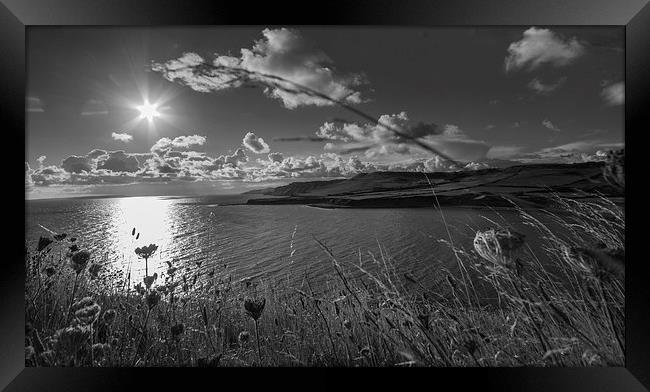 Black and White Jurassic Sunshine Framed Print by Phil Wareham
