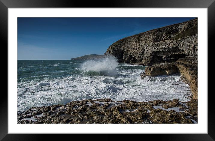 Dancing Ledge Dorset Framed Mounted Print by Phil Wareham