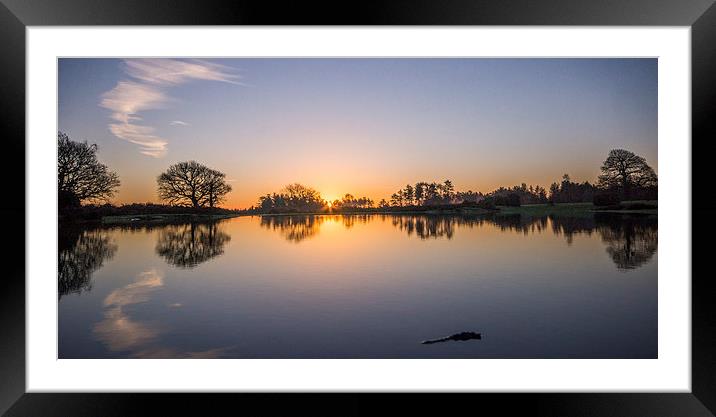 Forest Sunrise Framed Mounted Print by Phil Wareham