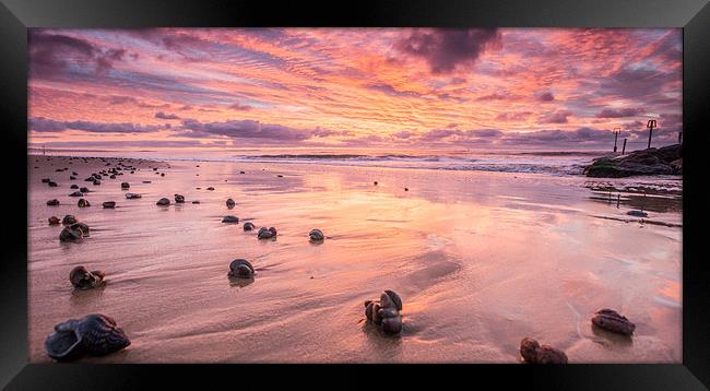 Sunrise and seashells Framed Print by Phil Wareham