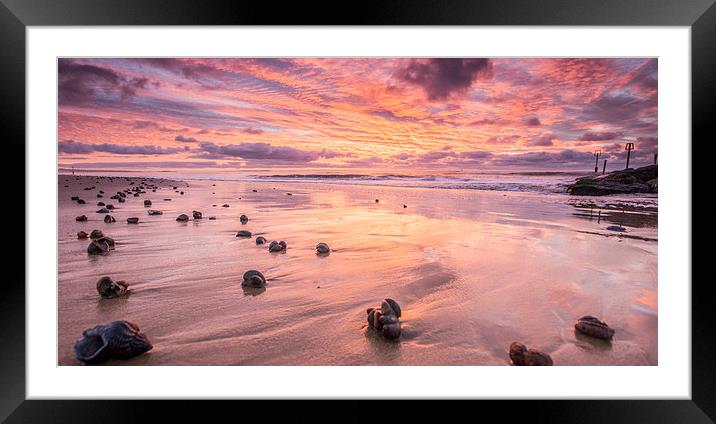 Sunrise and seashells Framed Mounted Print by Phil Wareham