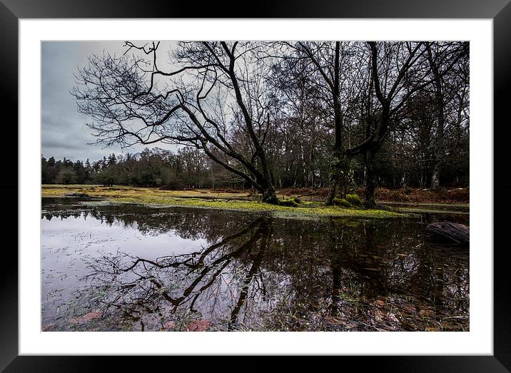 Pond at Millyford Bridge Framed Mounted Print by Phil Wareham