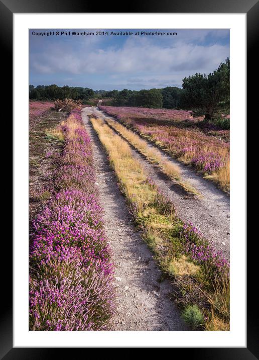  Pathway at Arne Framed Mounted Print by Phil Wareham