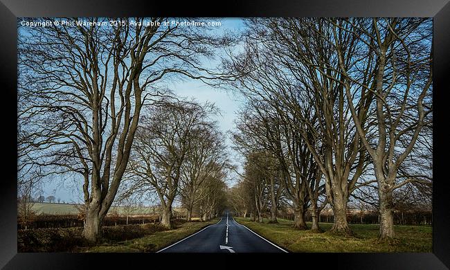  Beech Avenue in winter Framed Print by Phil Wareham