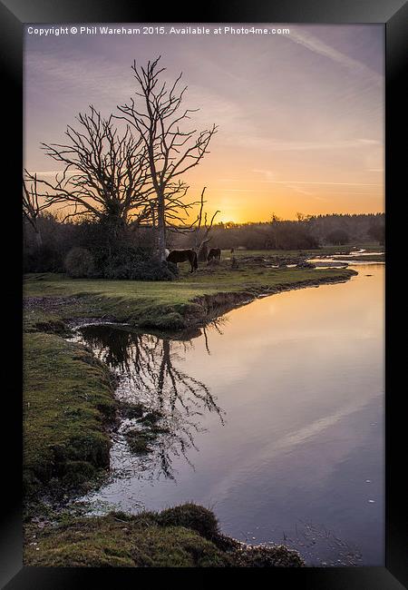 Mill Lawn Brook at Sunrise  Framed Print by Phil Wareham