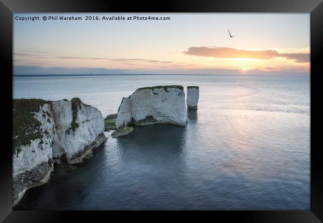 Old Harry Dawn Framed Print by Phil Wareham