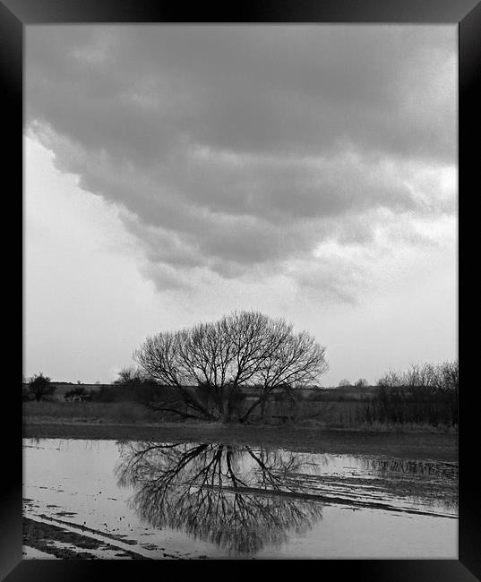 Tree Reflection Under Black Cloud Framed Print by Andrew Watson