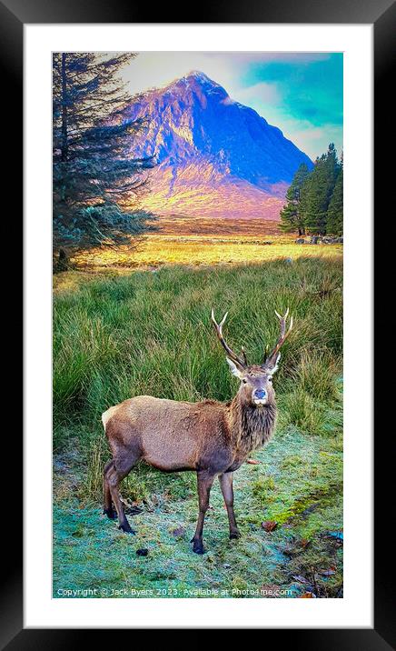 Red deer stag in Glencoe Framed Mounted Print by Jack Byers
