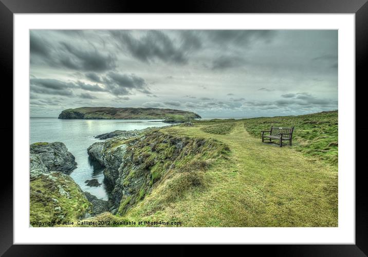 Calf of Man Framed Mounted Print by Julie  Chambers